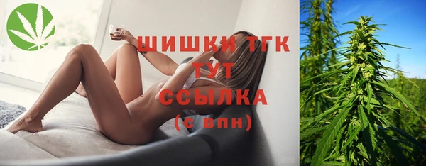 эйфоретик Аркадак