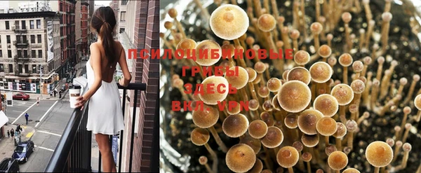 эйфоретик Аркадак