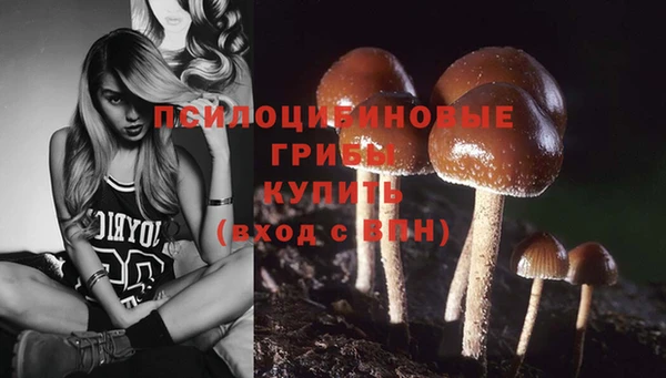 эйфоретик Аркадак