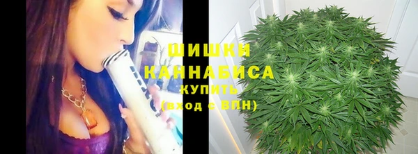 эйфоретик Аркадак