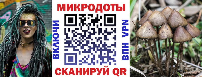 Галлюциногенные грибы Psilocybine cubensis  MEGA рабочий сайт  нарко площадка как зайти  Калтан 